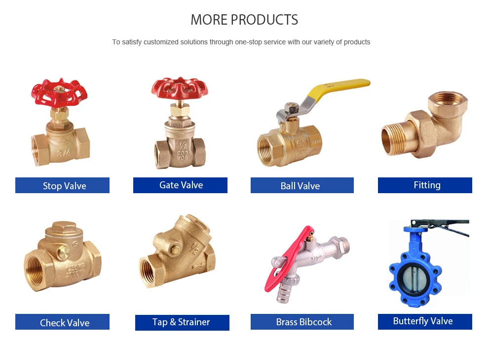 JIS F 7351 Bronze 5K Screw-Down Check Angle Globe Valve