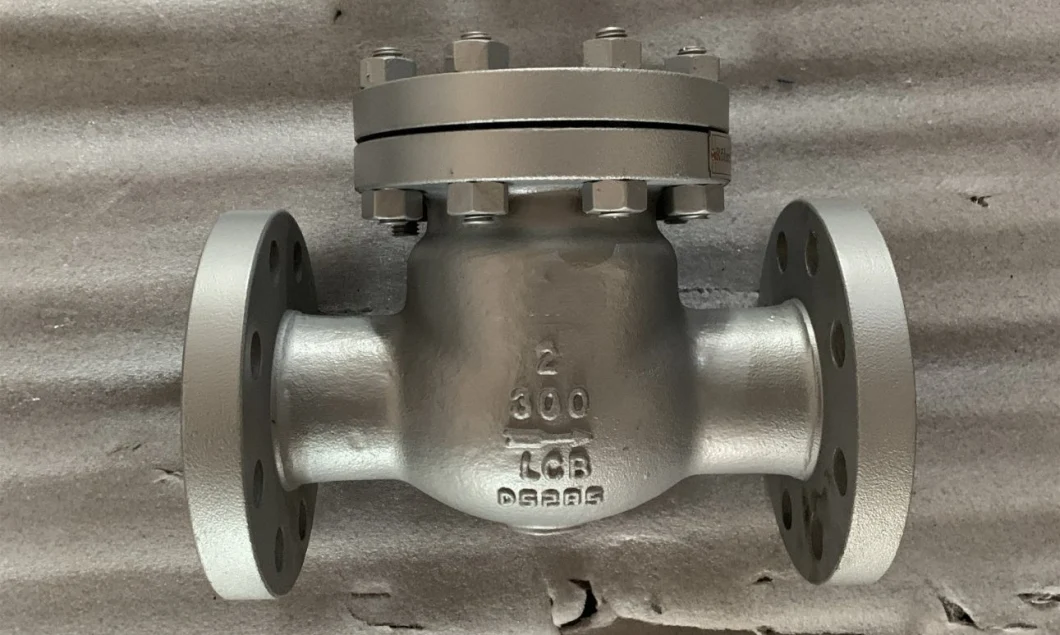 DIN ANSI/ASME JIS Wcb CF8 CF8m Flanged Bolted/Pressure Seal Bonnet Check Valve