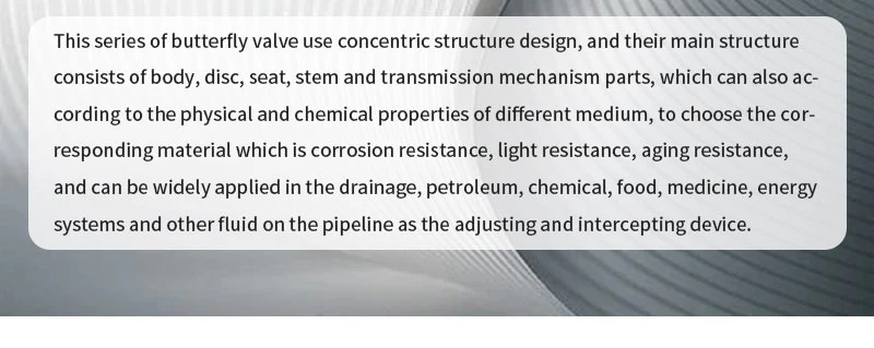 Body Double Flange Hard Soft Seal Double Triple Offset Eccentric Butterfly Valve Double Flange Butterfly Valve