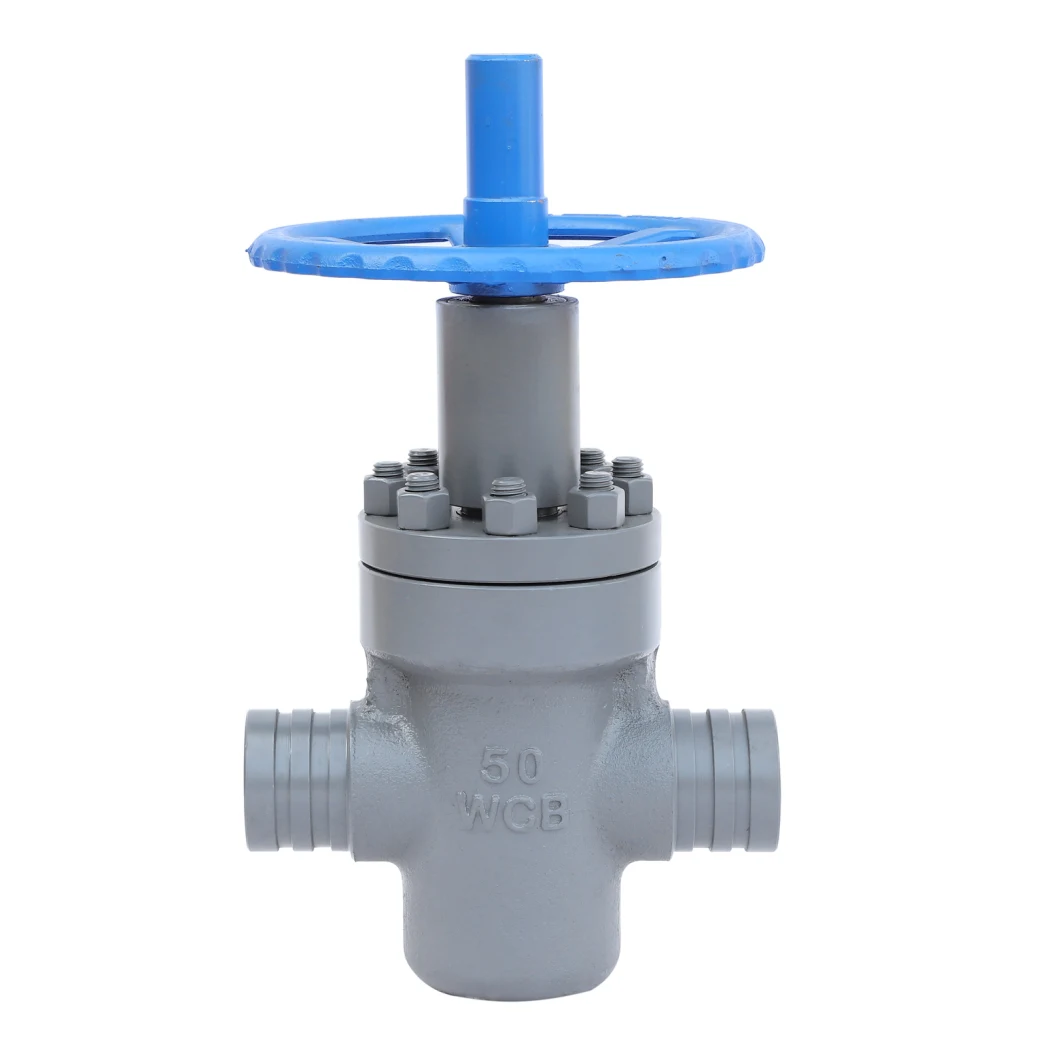 Industrial Flexible Seal High Temperature Pressure Steam Gate Valve