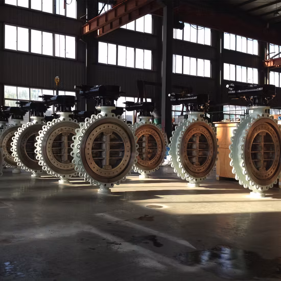 Triple Offset Ss 304 12 Inch Flanged Type Butterfly Valve