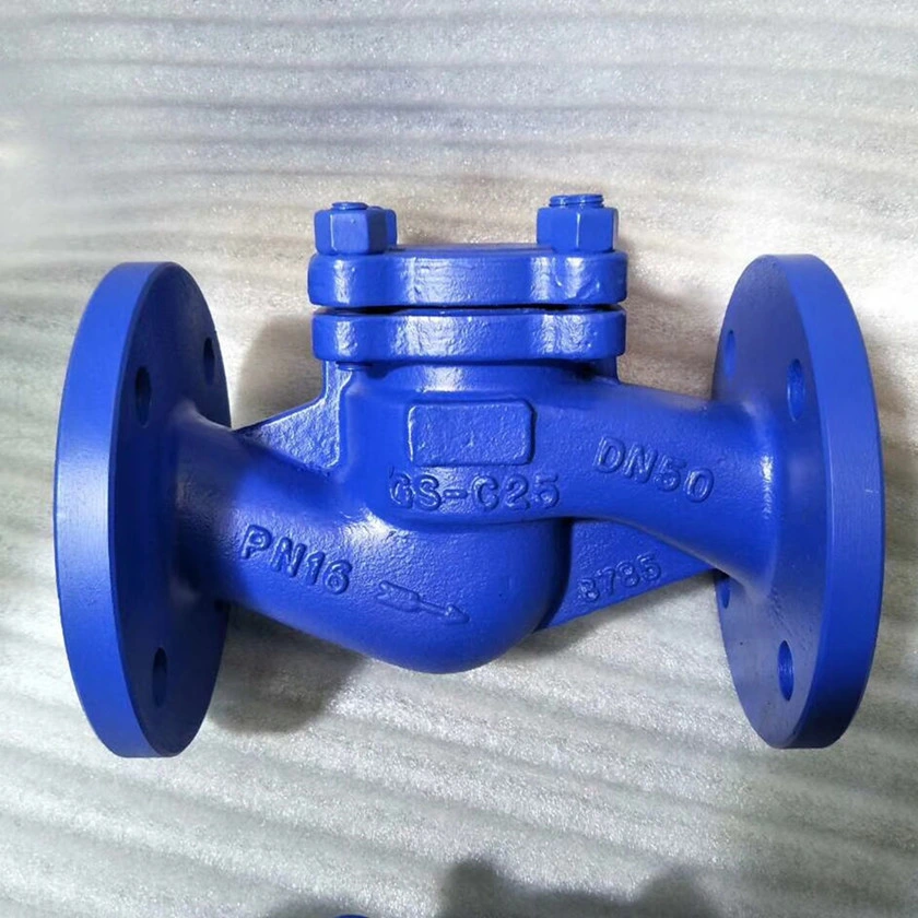 Pn10 Pn16 DN80 DN150 DN200 Cast Iron Lifting DIN Standard Check Valve