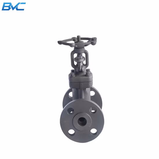 Tampa de vedação de pressão Classe 2500 A105 Aço forjado Bw Sw NPT Válvula globo com extremidade flangeada rosqueada