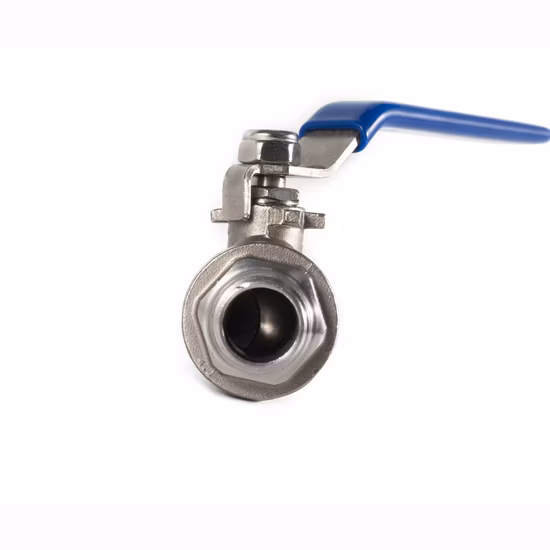 Aço Inoxidável Sanitaire Sanitaire Qualidade Alimentar Vacuum Borboleta Pneumática, Diafragma, Válvula de Alívio de Segurança, Válvula de Controle Esférico de Retenção Sem Retorno (JN-BV1001)